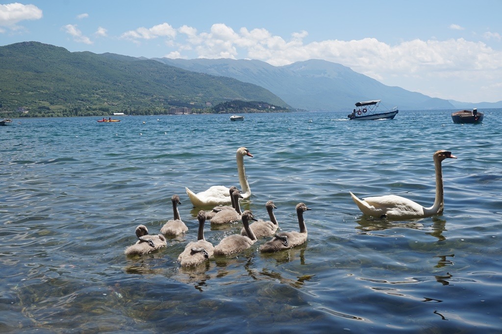 Ohridské-jezero-6
