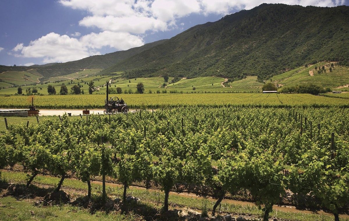 Colchagua Wine Valley