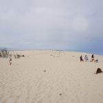 Výlet na Saharu – k moři do Polska