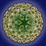 Může UV záření zabít koronavirus?
