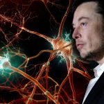 Musk představil fungující zařízení Neuralinku