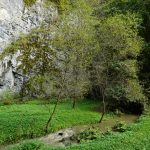 Moravské Švýcarsko: Hluboké údolí, mohutná skaliska, voda z nitra Země