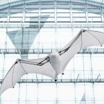 Bionic Flying Fox – letecký akrobat s inteligentní kinematikou