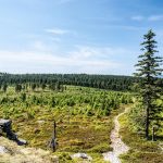 Výlety pro samotáře na střední Moravě: objevte zajímavosti Rychlebských hor